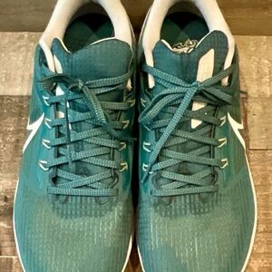 Men's Nike AIr Zoom Pegasus 39 Eagles